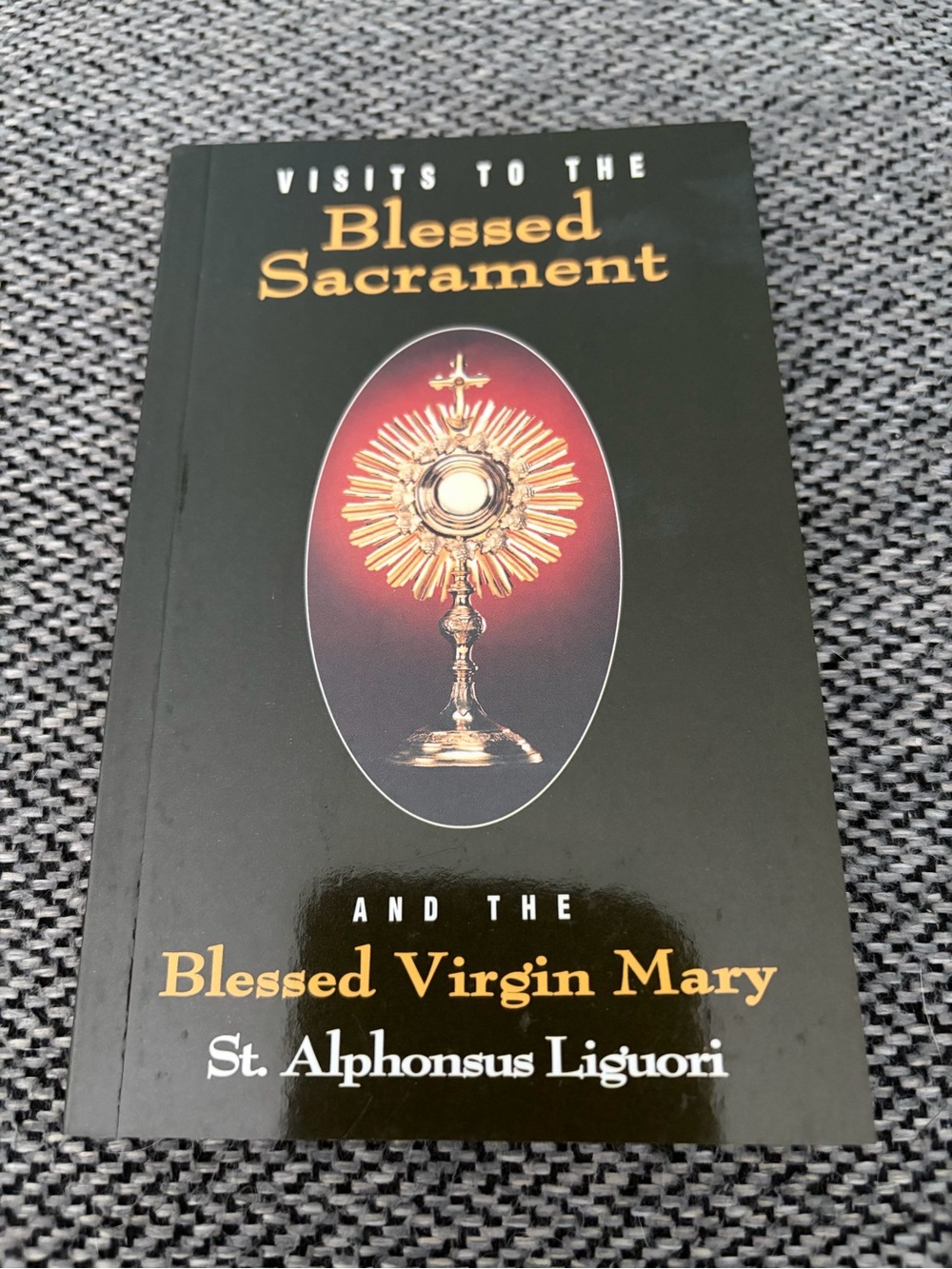 Visits To The Blessed Sacrament And The Blessed Virgin Mary Paperback Book